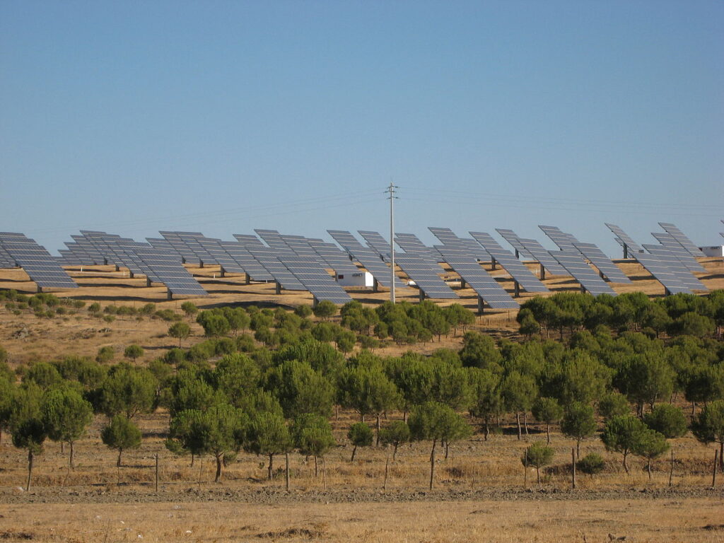 Contra a destruição de 600 hectares de natureza no Alentejo pelo megaprojeto solar do grupo chinês