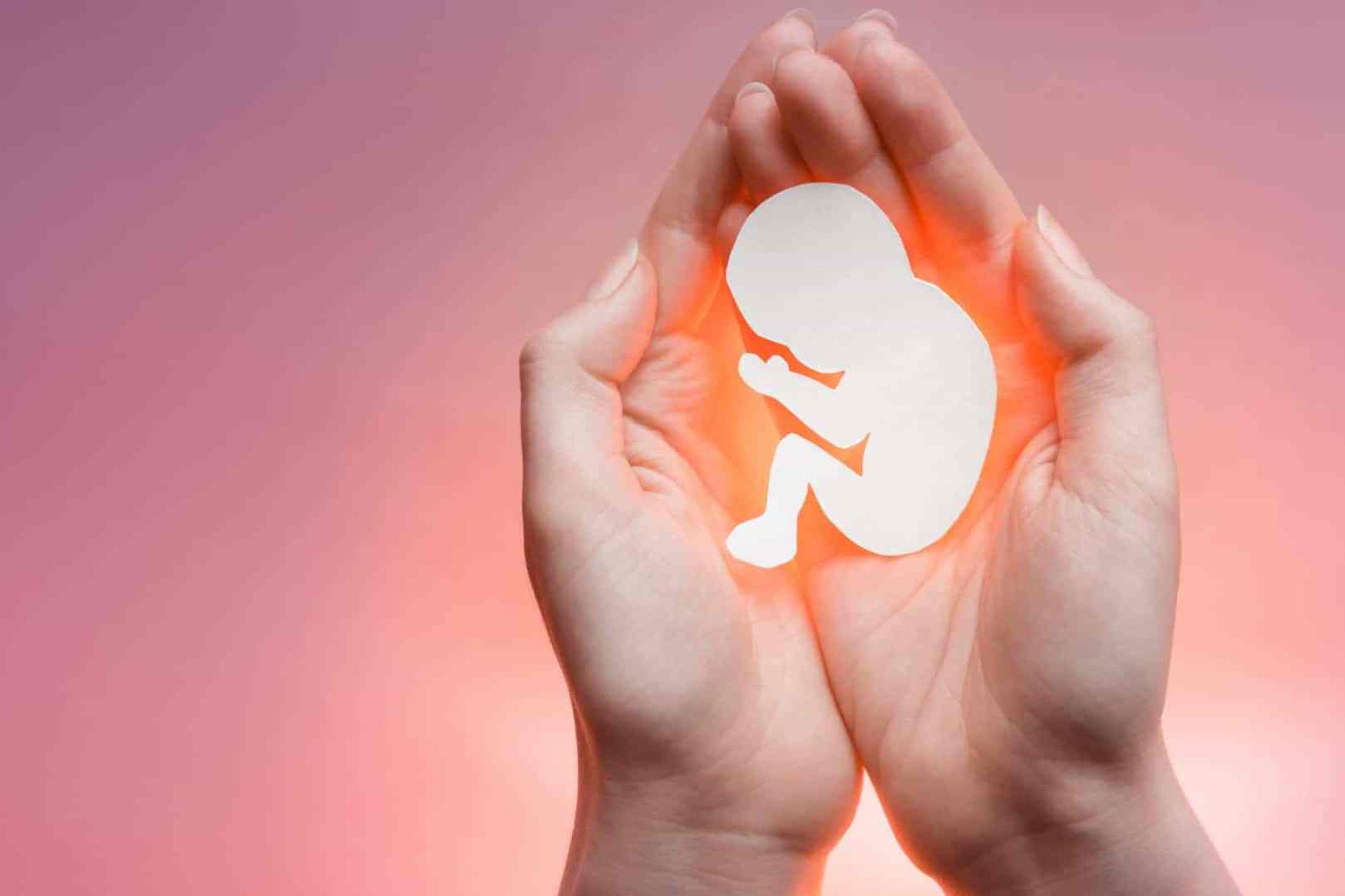 Fundação de Apoio à Mulher que Escolhe Ser Mãe